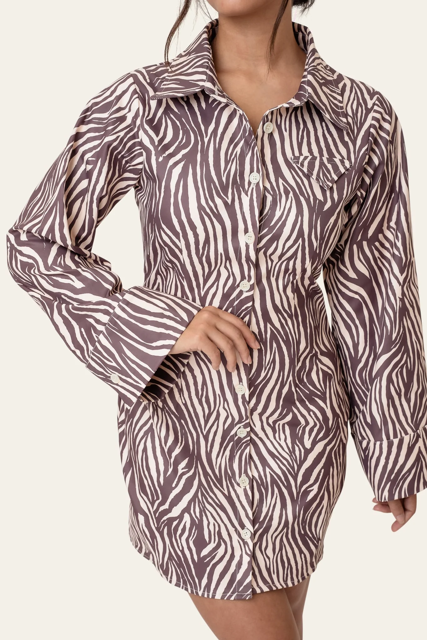MaryIC Dress - Brown Zebra - Image 4